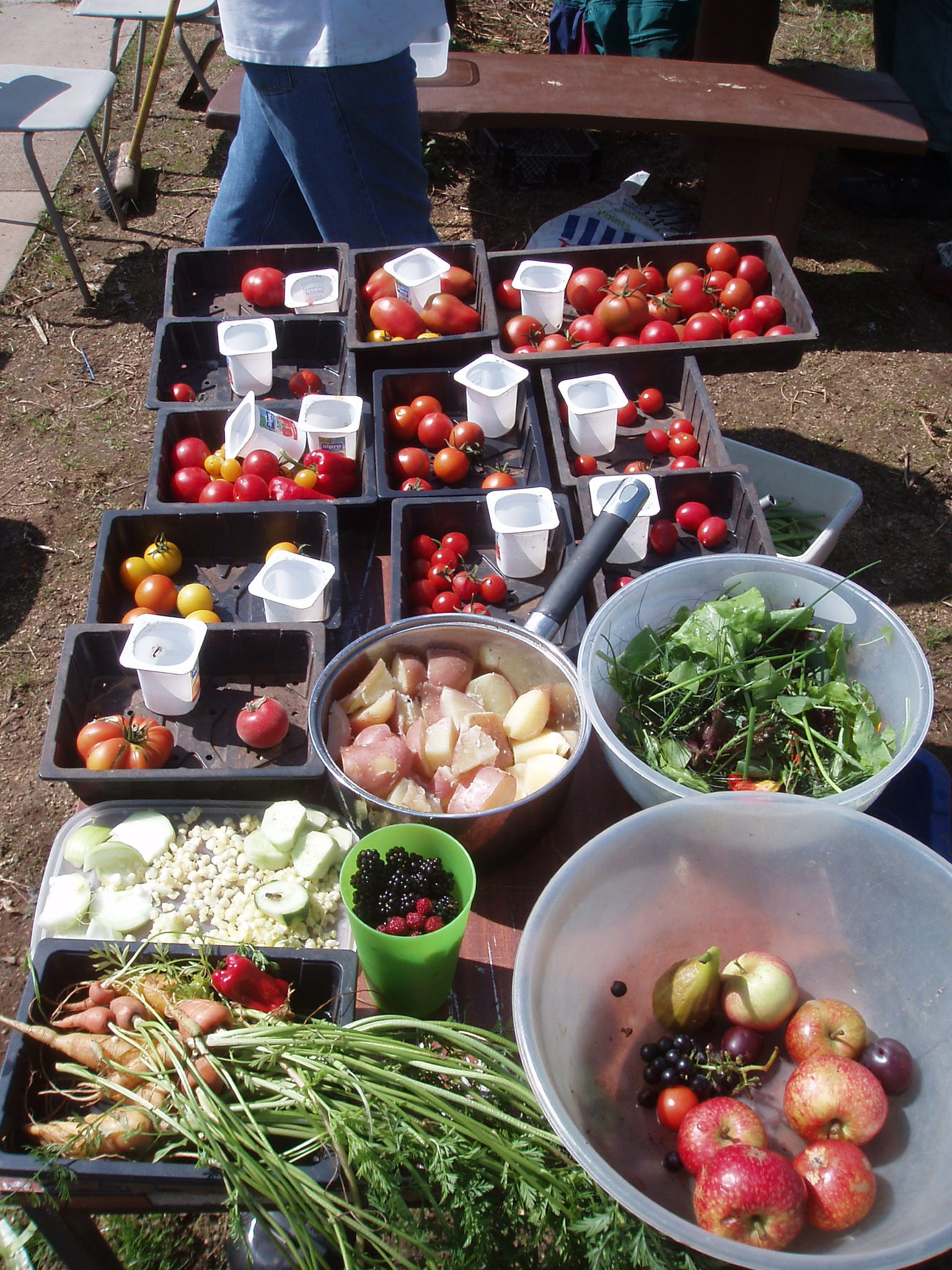 ECONOMICS OF ORGANIC PRODUCE
